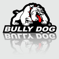 Bullydog